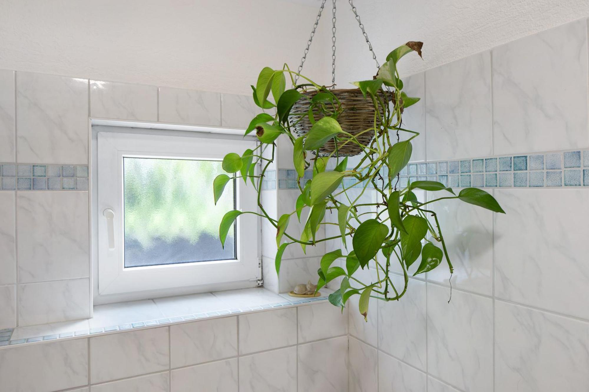 Ferienwohnung Zur Schauinslandbahn Horben Exterior photo